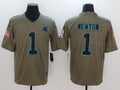 Men's Carolina Panthers Cam Newton #1 Brown Game Player Jersey1